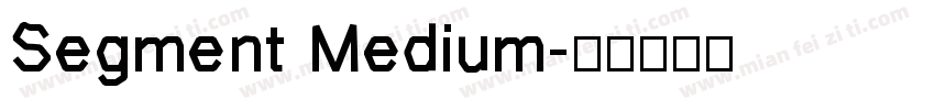 Segment Medium字体转换